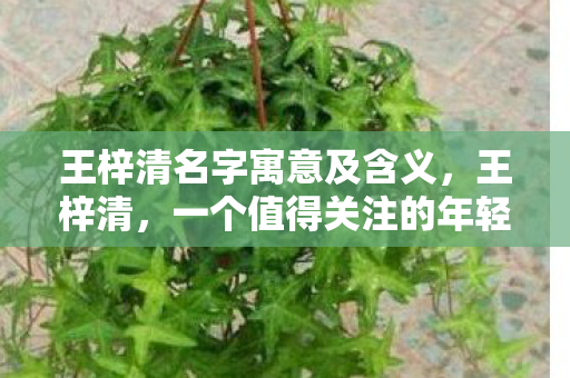 王梓清名字寓意及含义，王梓清，一个值得关注的年轻力量