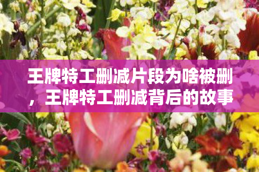 王牌特工删减片段为啥被删，王牌特工删减背后的故事与影响