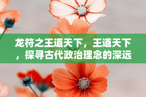 龙符之王道天下，王道天下，探寻古代政治理念的深远影响
