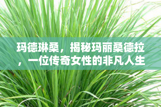 玛德琳桑，揭秘玛丽桑德拉，一位传奇女性的非凡人生旅程