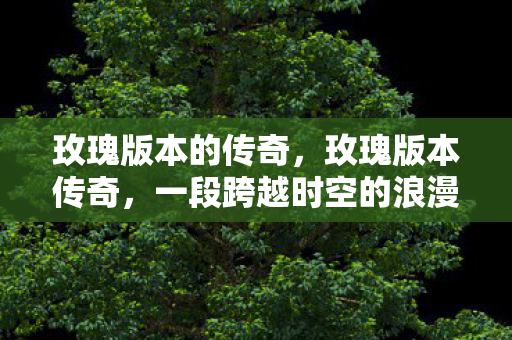 玫瑰版本的传奇，玫瑰版本传奇，一段跨越时空的浪漫之旅