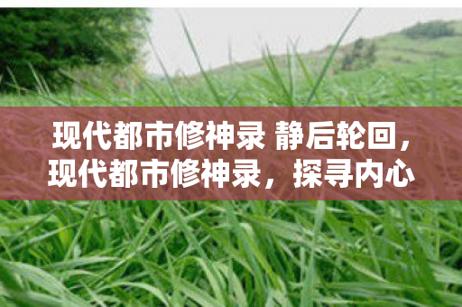 现代都市修神录 静后轮回，现代都市修神录，探寻内心力量的奇幻之旅