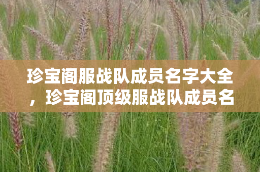 珍宝阁服战队成员名字大全，珍宝阁顶级服战队成员名字揭秘