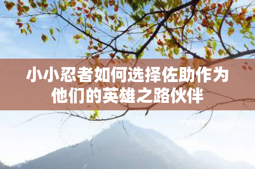 小小忍者如何选择佐助作为他们的英雄之路伙伴
