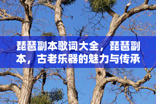 琵琶副本歌词大全，琵琶副本，古老乐器的魅力与传承之歌