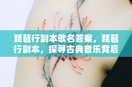 琵琶行副本歌名答案，琵琶行副本，探寻古典音乐背后的故事与深意