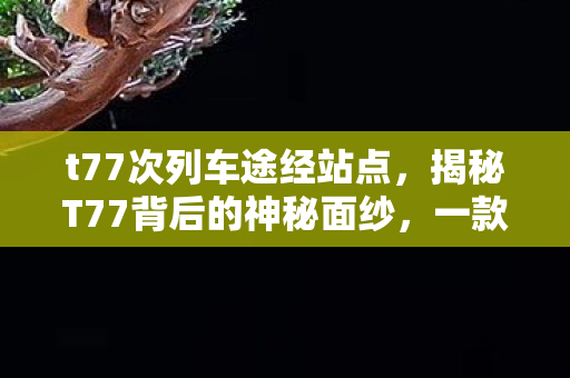 t77次列车途经站点，揭秘T77背后的神秘面纱，一款高性能SUV的全方位解读