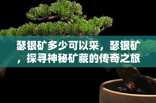 瑟银矿多少可以采，瑟银矿，探寻神秘矿藏的传奇之旅