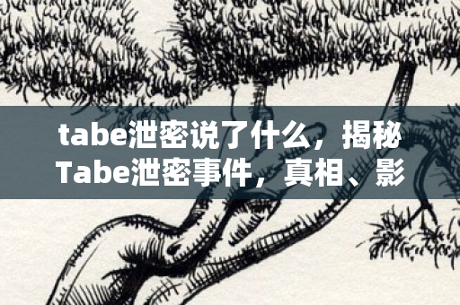 tabe泄密说了什么，揭秘Tabe泄密事件，真相、影响与未来展望