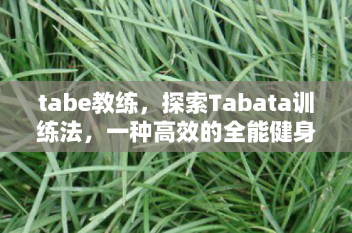 tabe教练，探索Tabata训练法，一种高效的全能健身方式