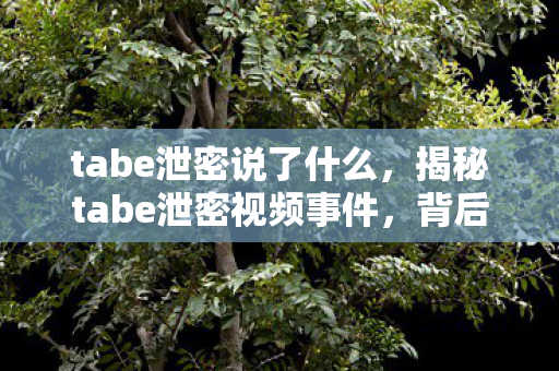 tabe泄密说了什么，揭秘tabe泄密视频事件，背后的真相与影响