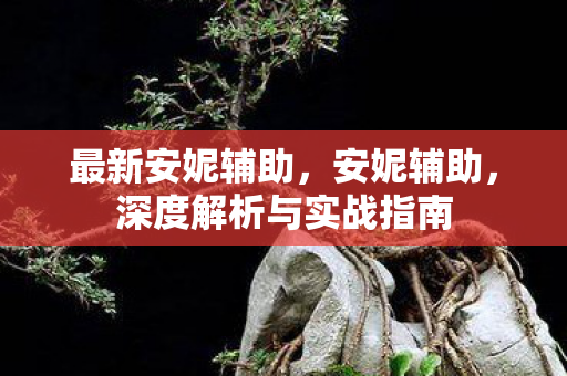 最新安妮辅助，安妮辅助，深度解析与实战指南