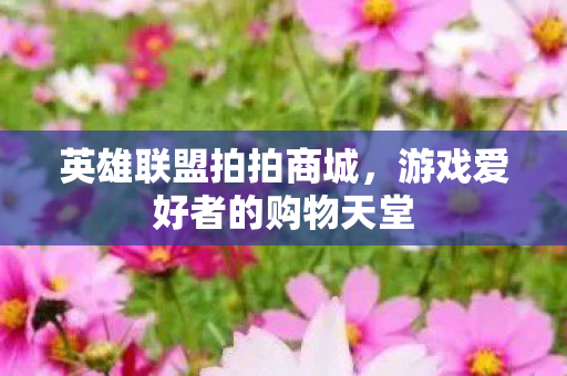 英雄联盟拍拍商城，游戏爱好者的购物天堂