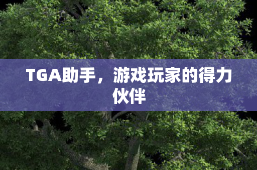 TGA助手，游戏玩家的得力伙伴