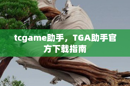 tcgame助手，TGA助手官方下载指南