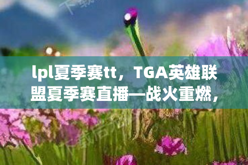 lpl夏季赛tt，TGA英雄联盟夏季赛直播—战火重燃，谁将称雄？