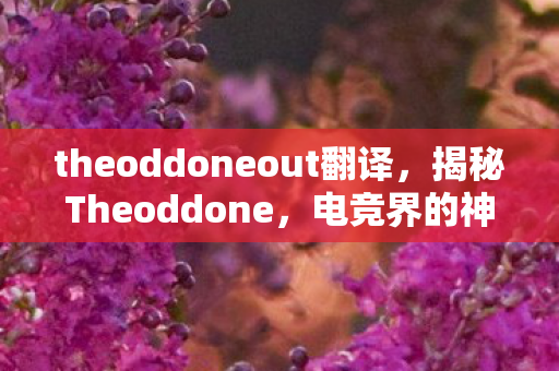 theoddoneout翻译，揭秘Theoddone，电竞界的神秘力量