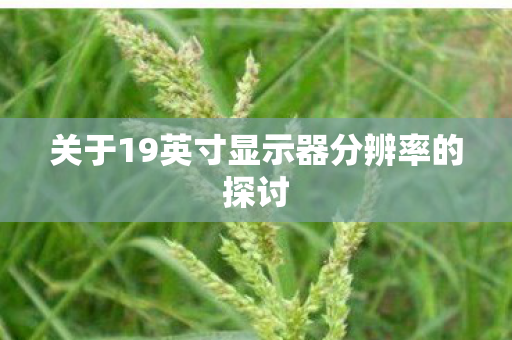 关于19英寸显示器分辨率的探讨 关于19英寸显示器分辨率的探讨
