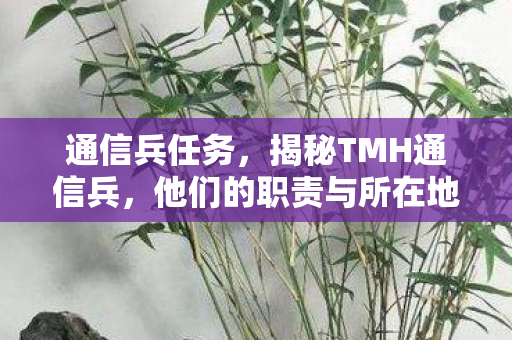通信兵任务，揭秘TMH通信兵，他们的职责与所在地