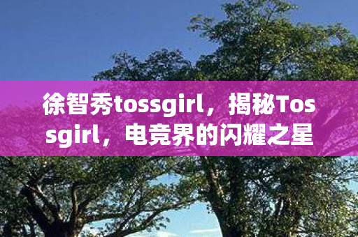 徐智秀tossgirl，揭秘Tossgirl，电竞界的闪耀之星