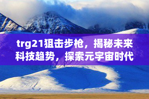 trg21狙击步枪，揭秘未来科技趋势，探索元宇宙时代下的机遇与挑战
