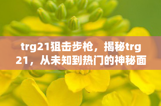 trg21狙击步枪，揭秘trg21，从未知到热门的神秘面纱背后