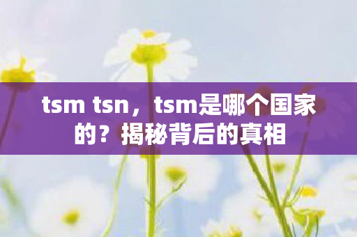 tsm tsn，tsm是哪个国家的？揭秘背后的真相