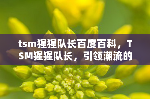 tsm猩猩队长百度百科，TSM猩猩队长，引领潮流的电竞领袖