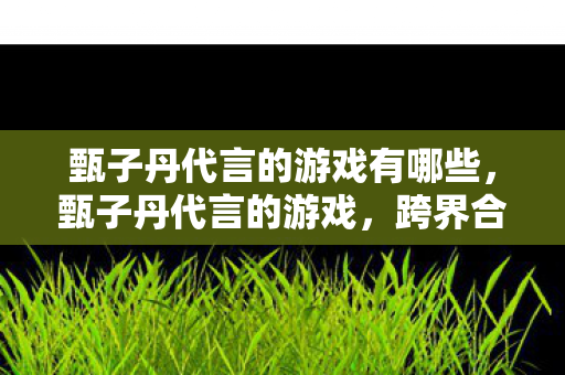 甄子丹代言的游戏有哪些，甄子丹代言的游戏，跨界合作的魅力与影响