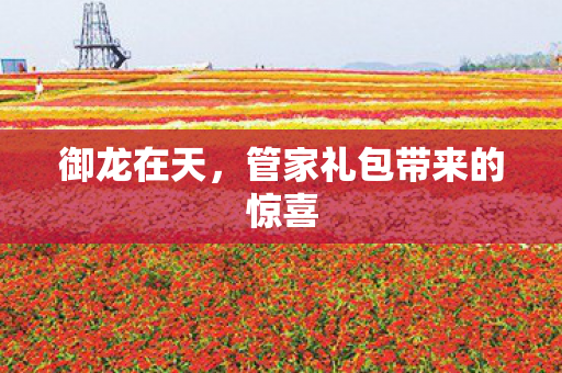 御龙在天,管家礼包带来的惊喜 御龙在天,管家礼包带来的惊喜
