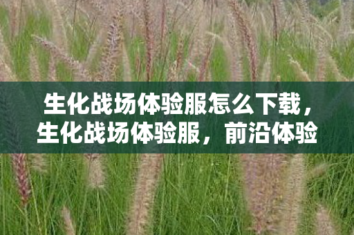 生化战场体验服怎么下载，生化战场体验服，前沿体验与深度解析