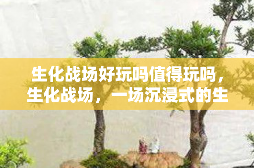 生化战场好玩吗值得玩吗，生化战场，一场沉浸式的生存冒险，值得一试吗？