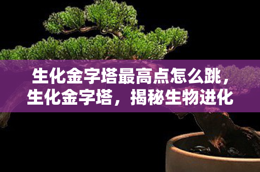 生化金字塔最高点怎么跳，生化金字塔，揭秘生物进化的神秘世界