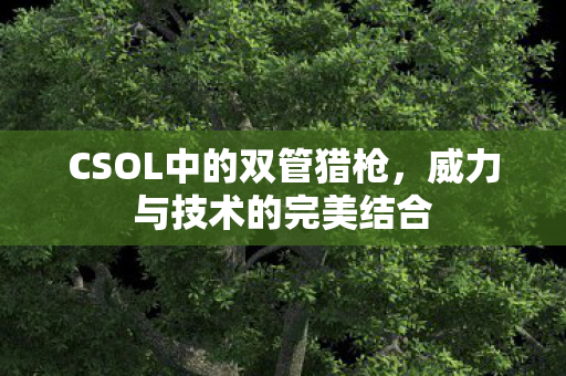 CSOL中的双管猎枪,威力与技术的完美结合 CSOL中的双管猎枪,威力与技术的完美结合