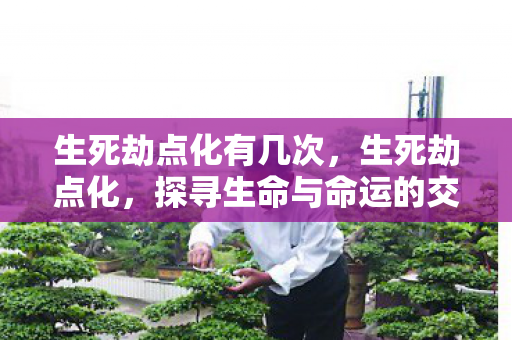 生死劫点化有几次，生死劫点化，探寻生命与命运的交织之谜