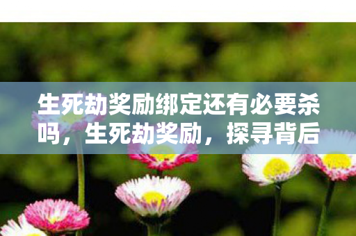 生死劫奖励绑定还有必要杀吗，生死劫奖励，探寻背后的故事与意义