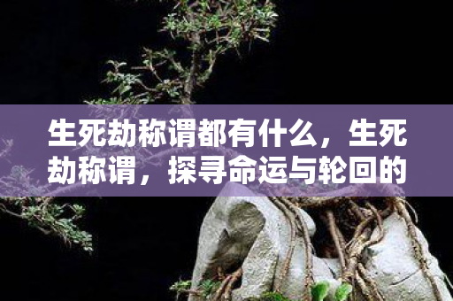 生死劫称谓都有什么,生死劫称谓,探寻命运与轮回的奥秘 生死劫称谓都有什么,生死劫称谓,探寻命运与轮回的奥秘