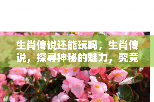 生肖传说还能玩吗，生肖传说，探寻神秘的魅力，究竟是否引人入胜？