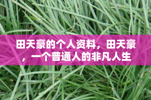 田天豪的个人资料，田天豪，一个普通人的非凡人生