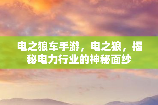 电之狼车手游,电之狼,揭秘电力行业的神秘面纱 电之狼车手游,电之狼,揭秘电力行业的神秘面纱