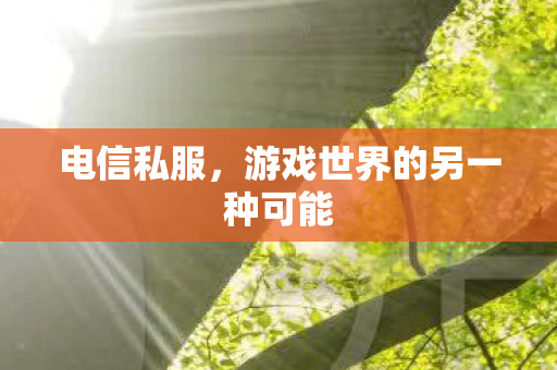 电信私服,游戏世界的另一种可能 电信私服,游戏世界的另一种可能