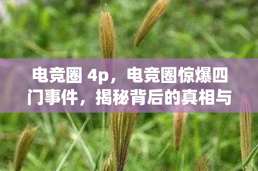 电竞圈 4p,电竞圈惊爆四门事件,揭秘背后的真相与影响 电竞圈 4p,电竞圈惊爆四门事件,揭秘背后的真相与影响