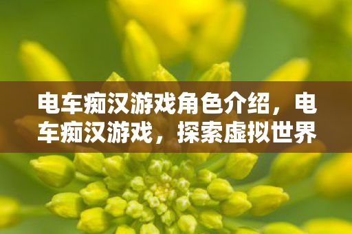 电车痴汉游戏角色介绍，电车痴汉游戏，探索虚拟世界的新篇章