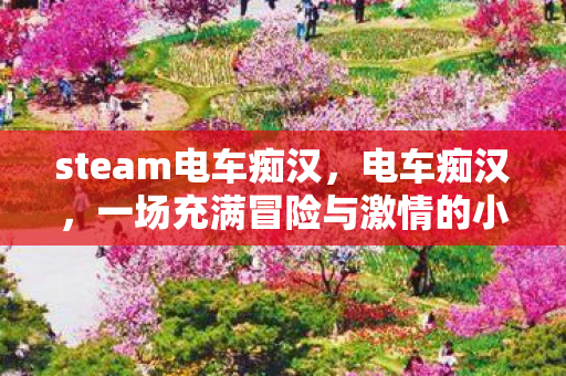 steam电车痴汉，电车痴汉，一场充满冒险与激情的小游戏之旅