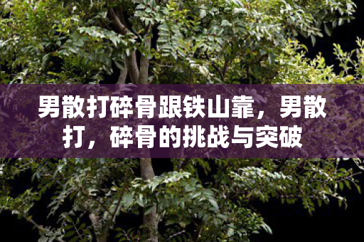 男散打碎骨跟铁山靠，男散打，碎骨的挑战与突破