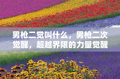 男枪二觉叫什么，男枪二次觉醒，超越界限的力量觉醒