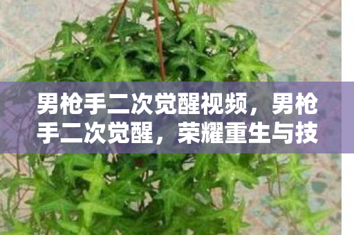 男枪手二次觉醒视频，男枪手二次觉醒，荣耀重生与技能蜕变