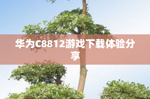 华为C8812游戏下载体验分享 华为C8812游戏下载体验分享