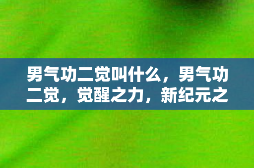 男气功二觉叫什么，男气功二觉，觉醒之力，新纪元之始