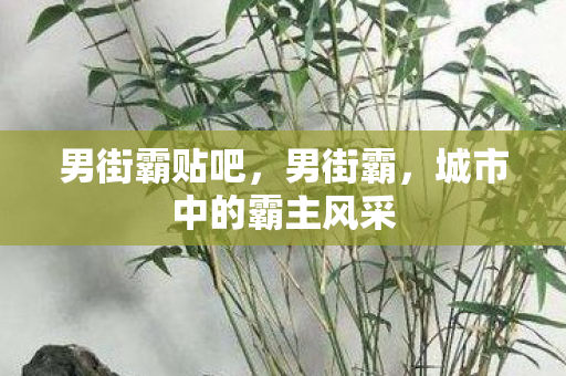 男街霸贴吧，男街霸，城市中的霸主风采